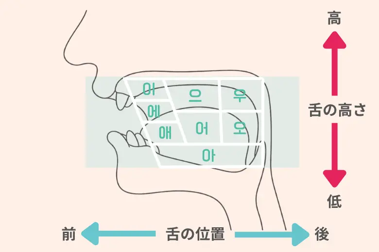 韓国語の発声分布図