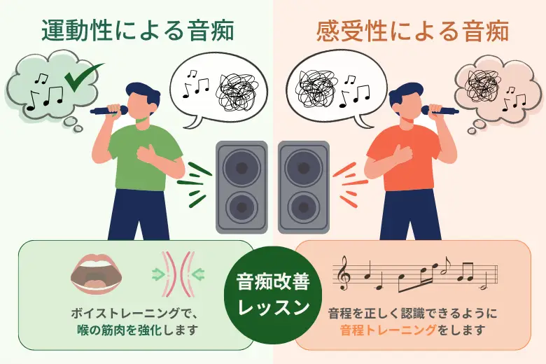 音痴の2種類の解説/運動性による音痴ーボイストレーニングで、喉の筋肉を強化します。感受性による音痴ー音程を正しく認識できるように音程トレーニングをします。音痴の原因を説明する図解