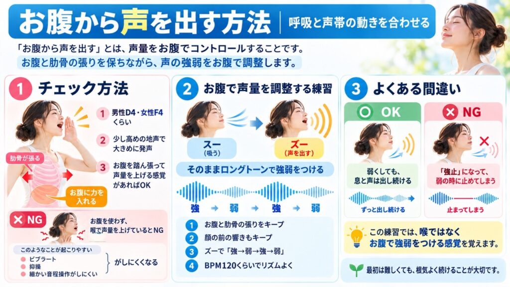 お腹から声を出す方法と、声量をお腹でコントロールする練習を図解した画像。男性D4・女性F4程度の少し高い地声で、お腹を踏ん張って声量を上げる感覚を確認し、「スー」から「ズー」へつなげたままBPM120程度で強弱を繰り返し、息と声を止めずにお腹で声量を調整する方法を示している。