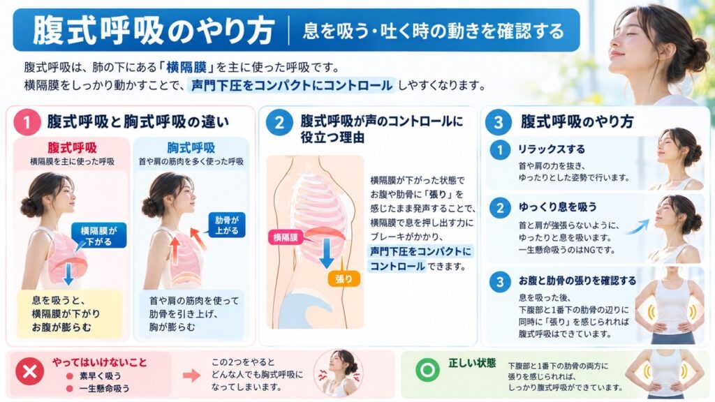 腹式呼吸と胸式呼吸の違い、腹式呼吸が声門下圧のコントロールに役立つ理由、腹式呼吸のやり方を図解した画像。横隔膜を下げて下腹部と一番下の肋骨に「張り」を感じること、首や肩に力を入れずゆっくり息を吸うことがポイントとして示されている。